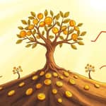 El Factor Multiplicador: Reinversión Inteligente para un Crecimiento Óptimo